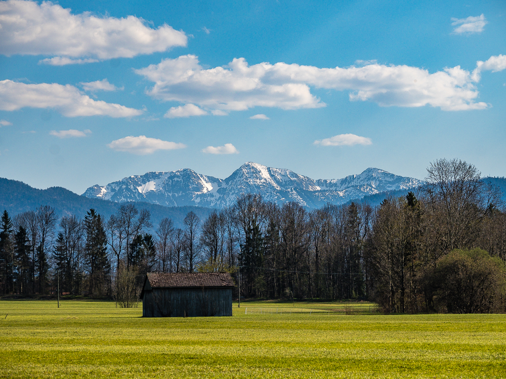 _DSC1085.jpg