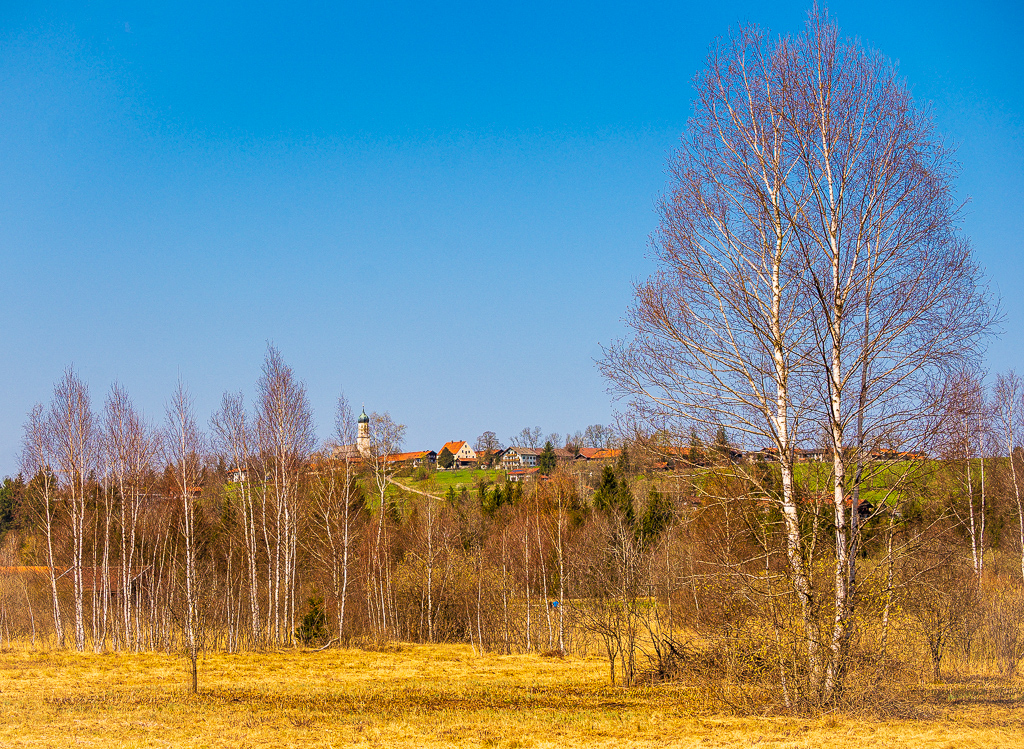 _DSC1103.jpg