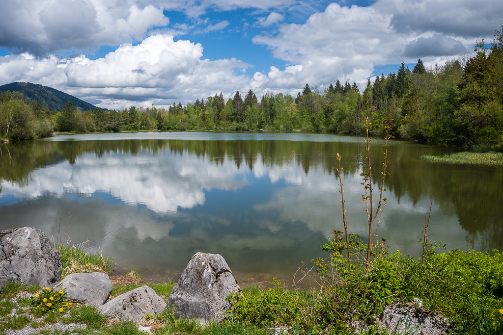 _DSC1214.jpg
