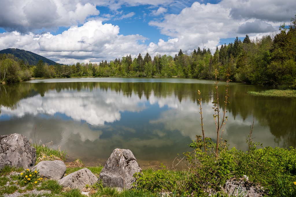 _DSC1214.jpg