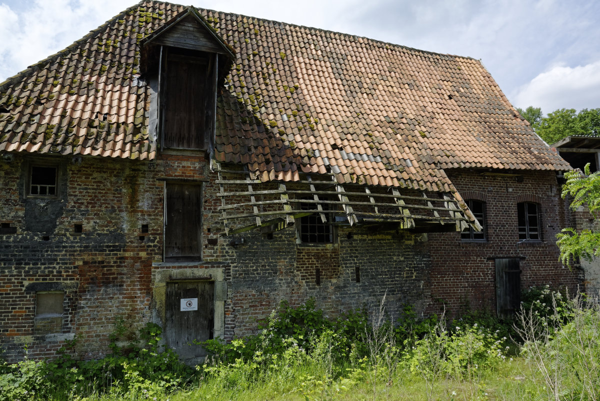 _DSC1255_DxOPxl.jpg