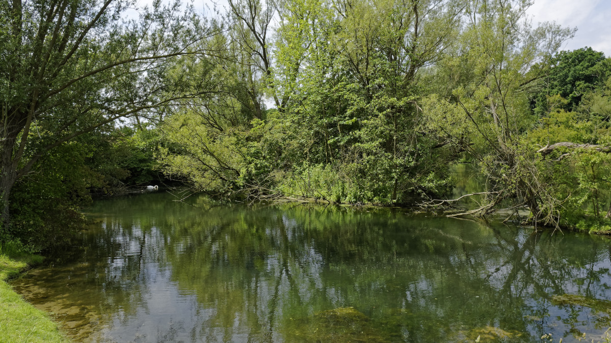 _DSC1258_DxOPAxl.jpg
