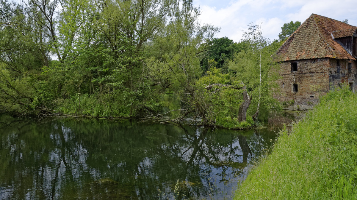 _DSC1259_DxOPxl.jpg