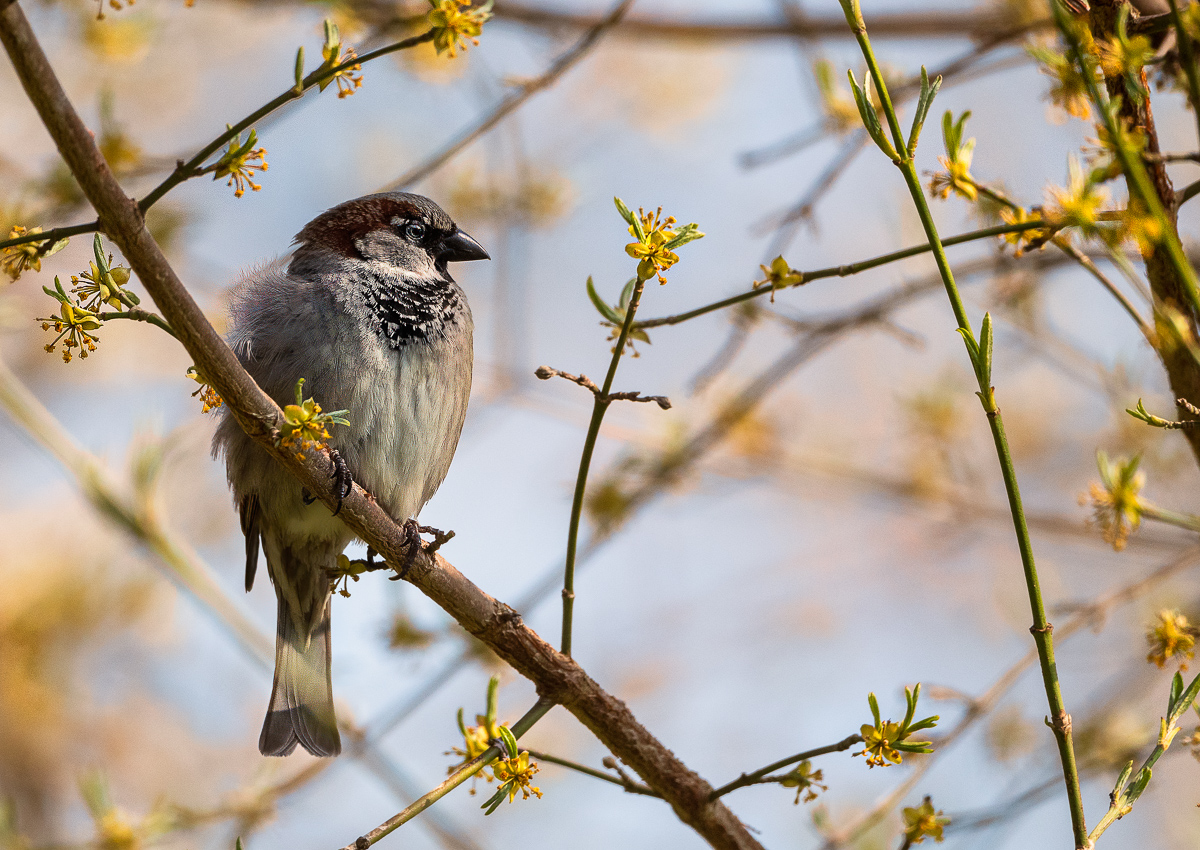 _DSC1352-Verbessert-Bearbeitet-1.jpg