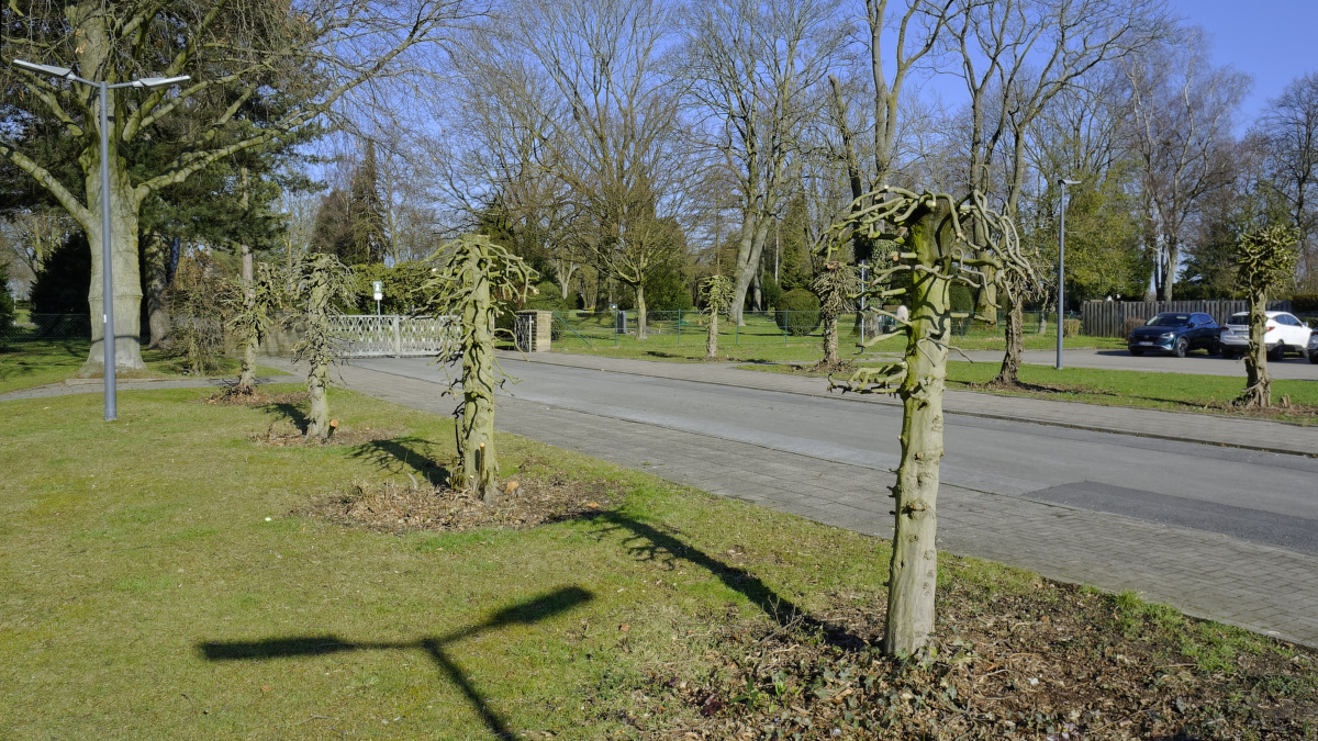 _DSC1373_DxOP_xl.jpg