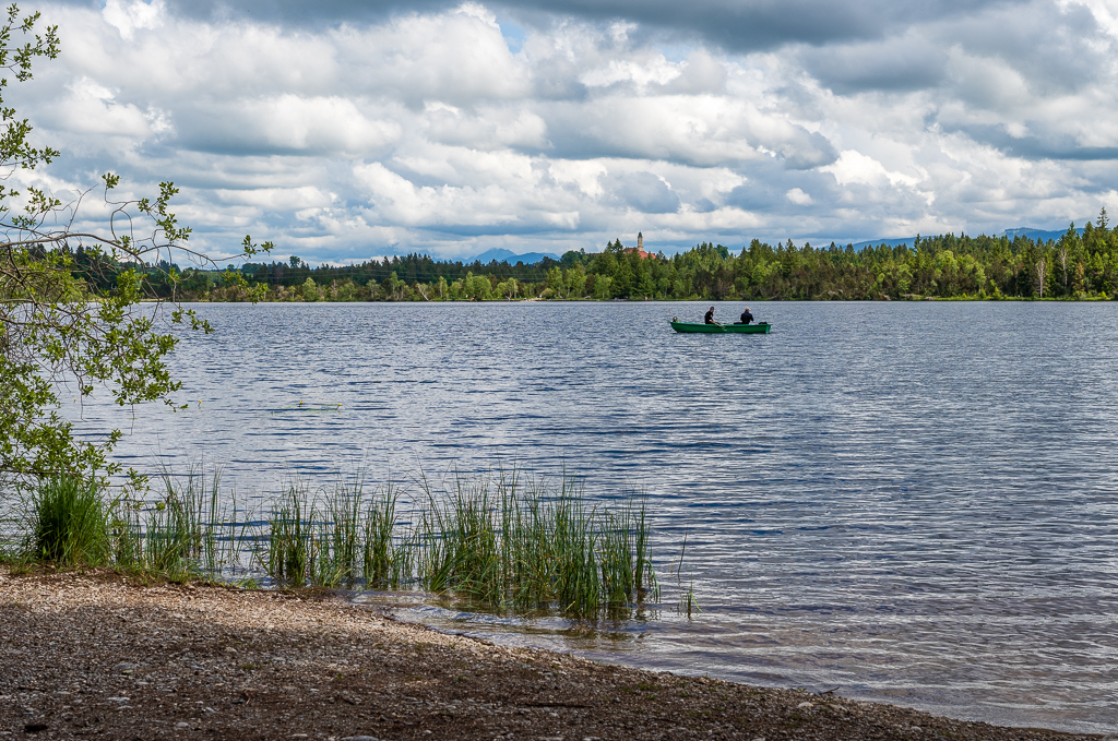 _DSC1382.jpg