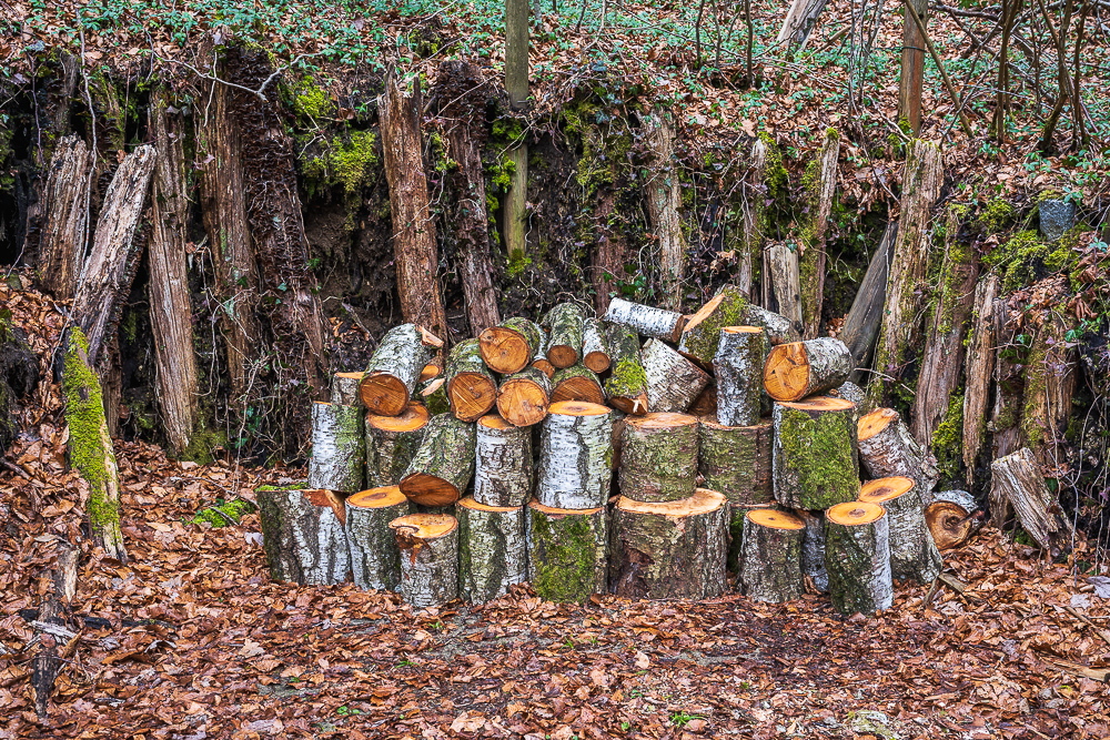 _DSC1402.jpg