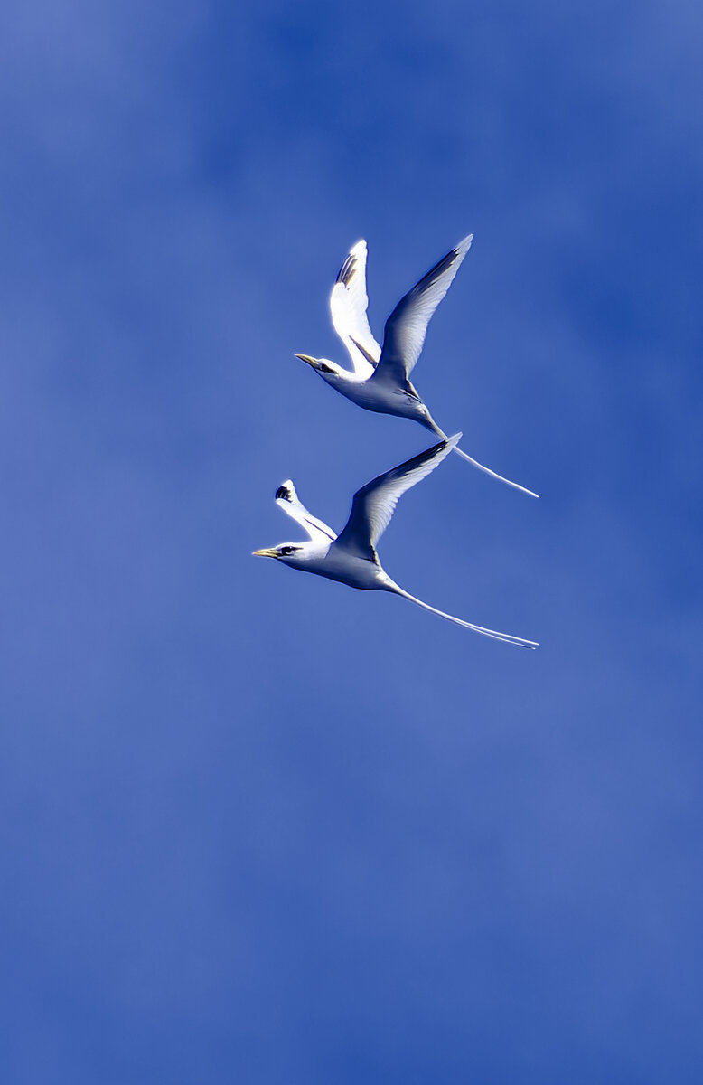 _DSC1433.jpg