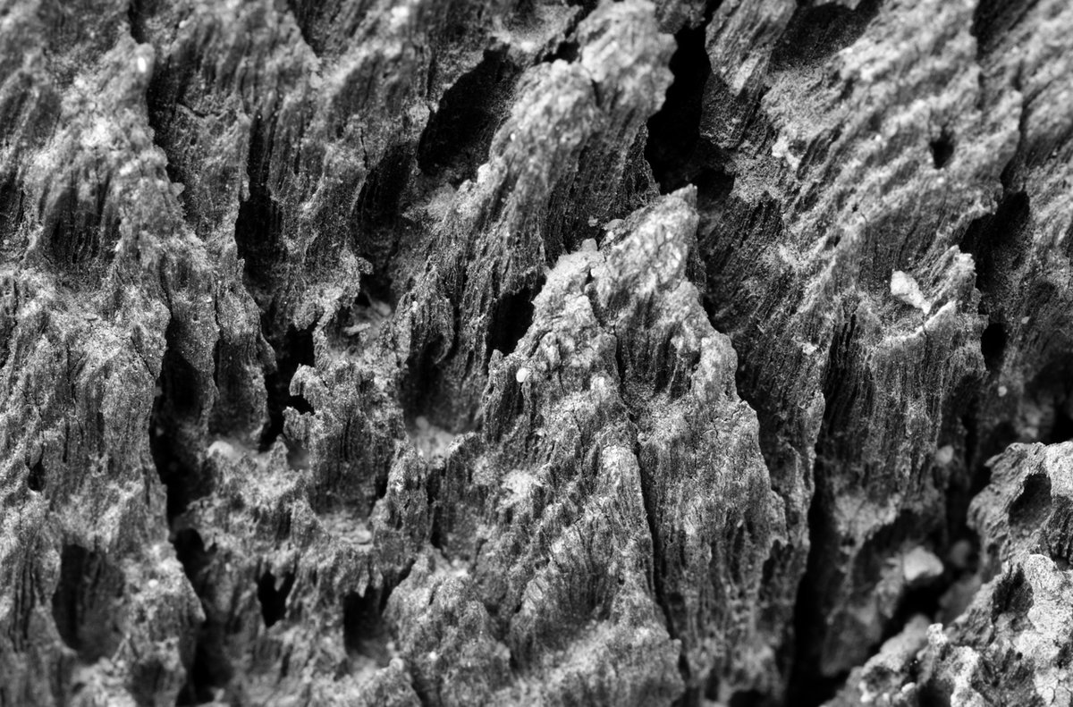 _DSC2135.jpg