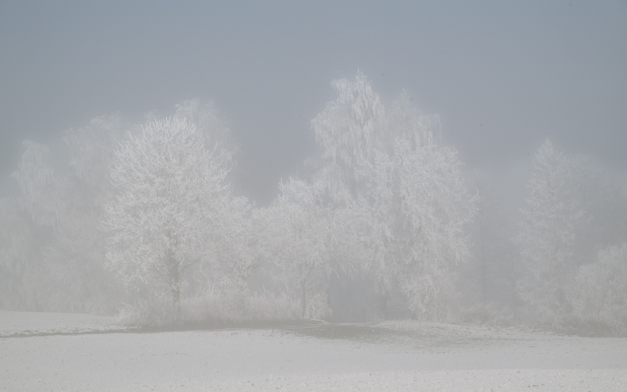 _DSC2198.jpg