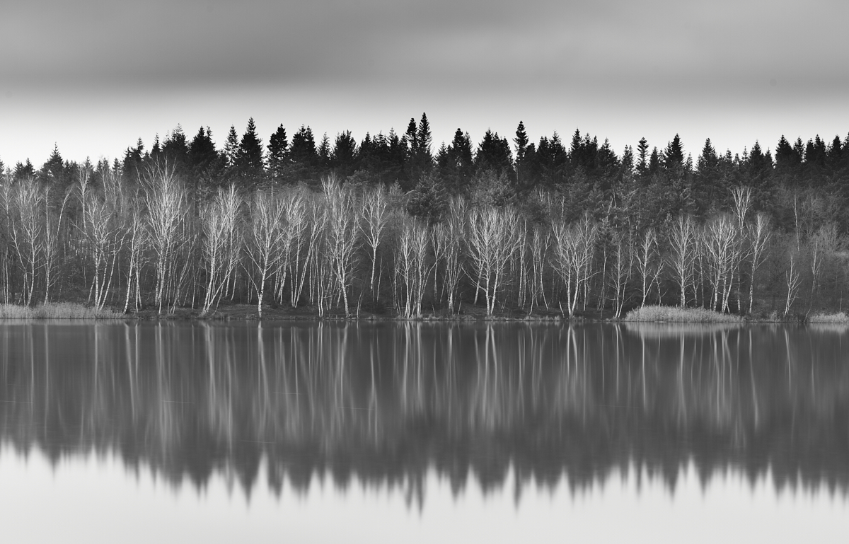 _DSC3227 1.jpg