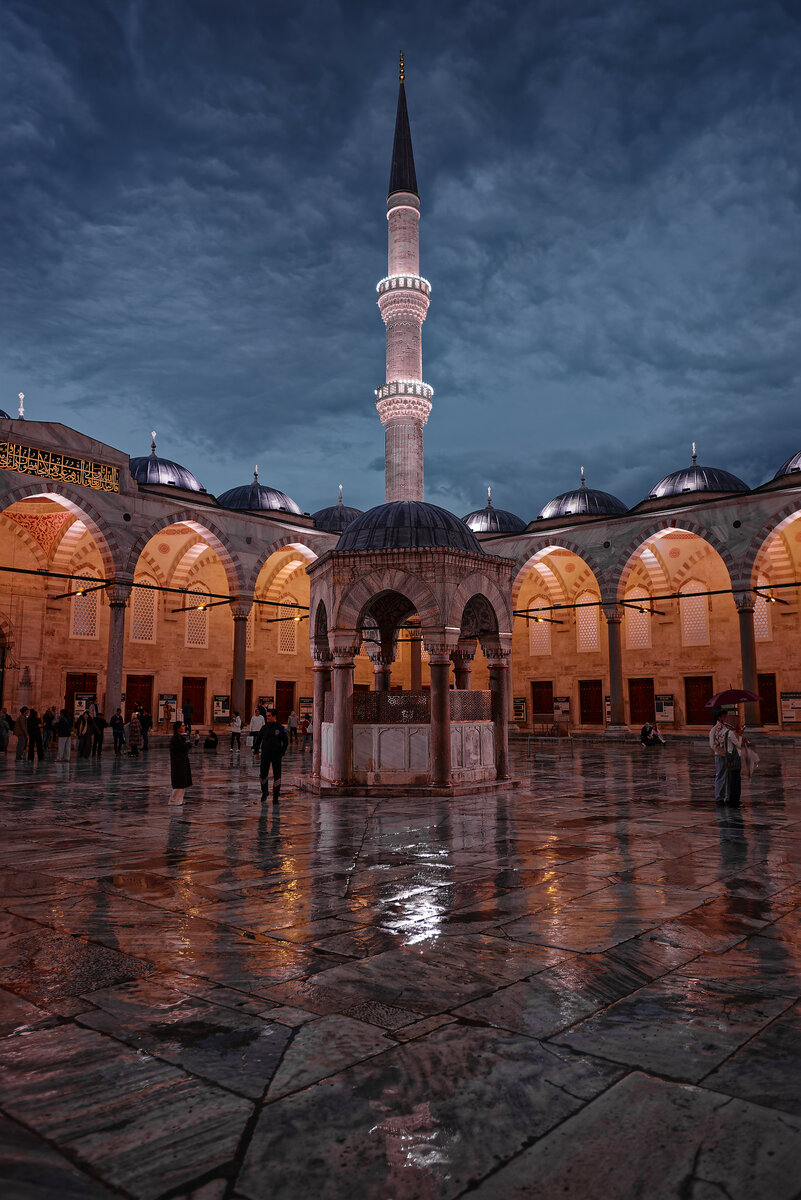 _DSC3908_DxO.jpg