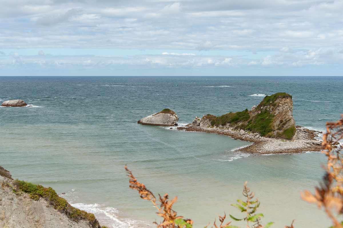_DSC3930.jpg
