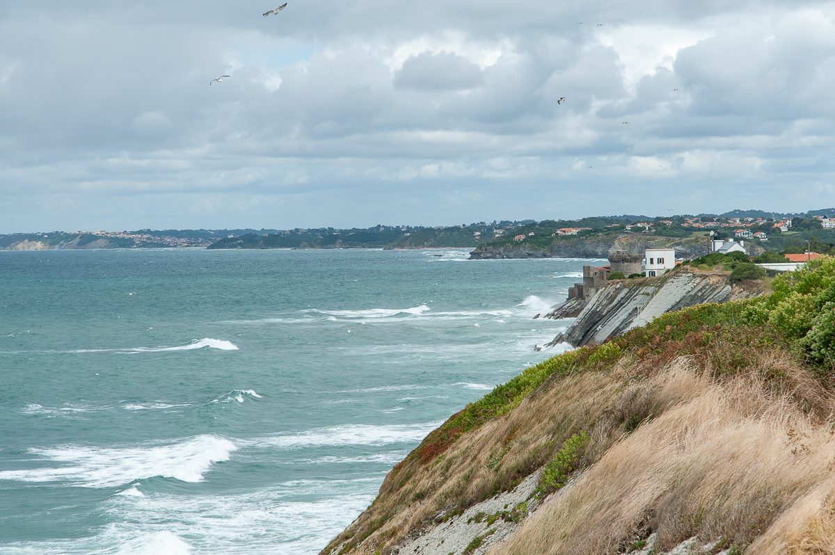 _DSC3959.jpg