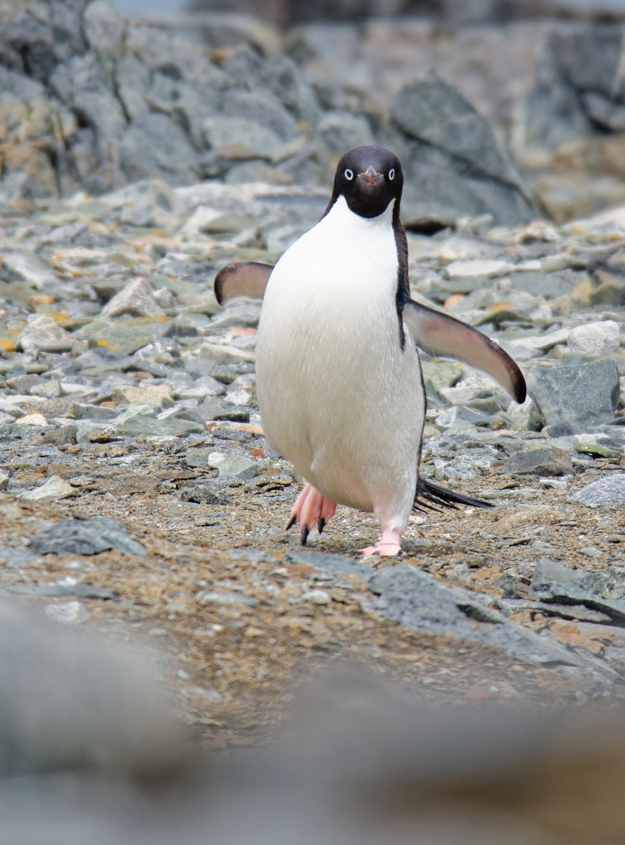 _DSC4165.jpg