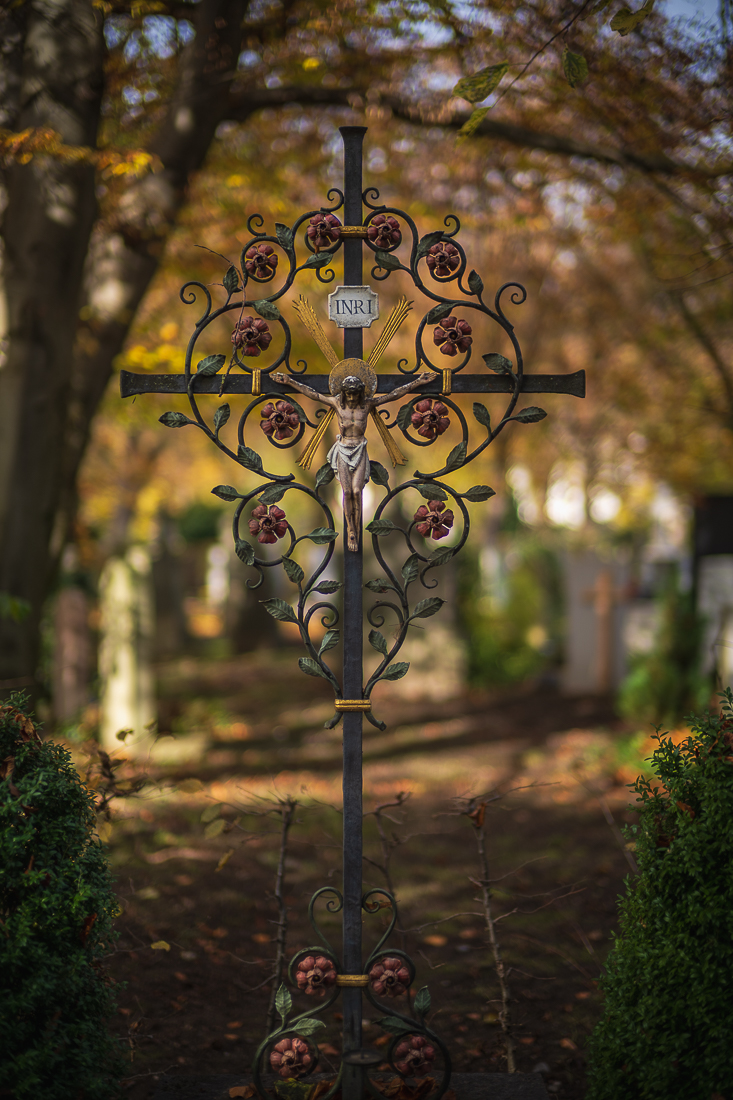 _DSC4282.jpg