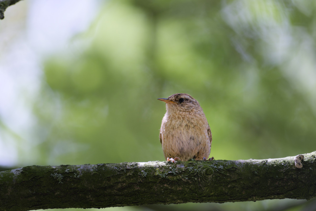 _DSC4476NF.jpg