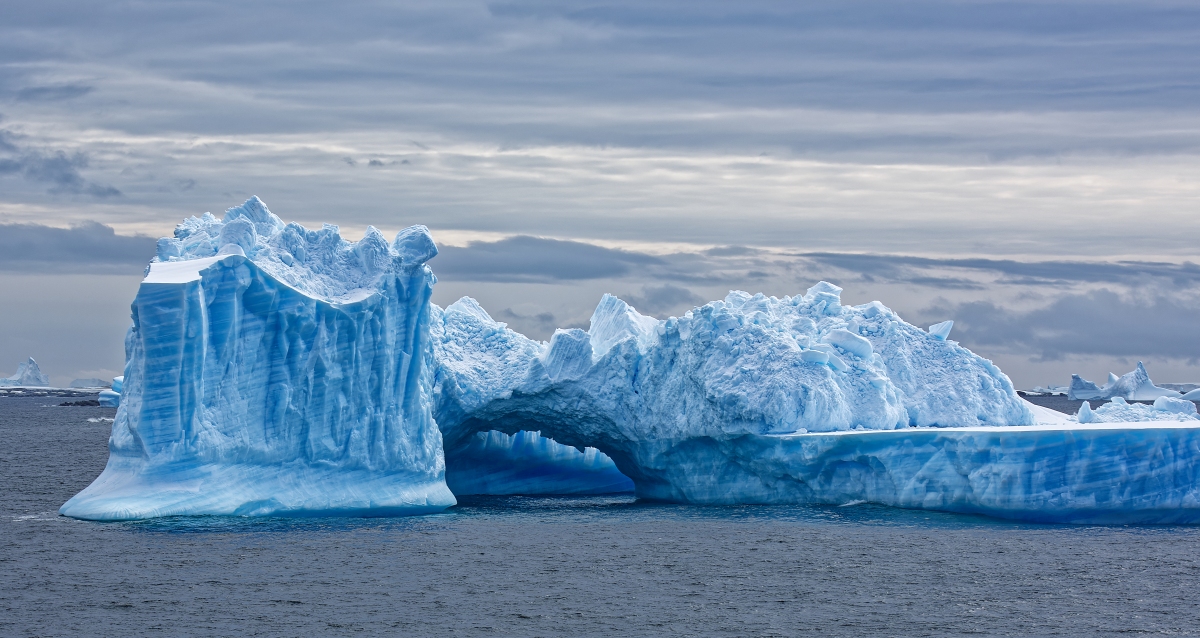 _DSC4567.jpg