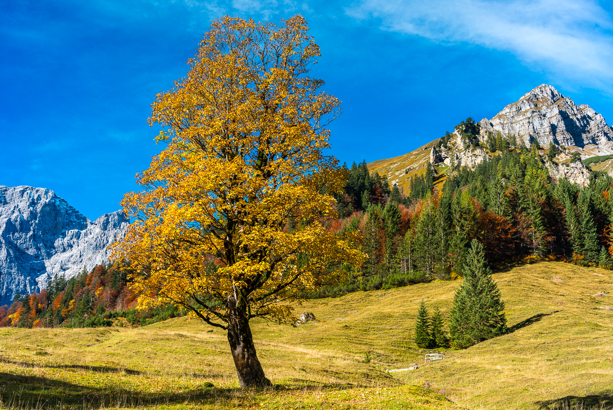 _DSC4648.jpg