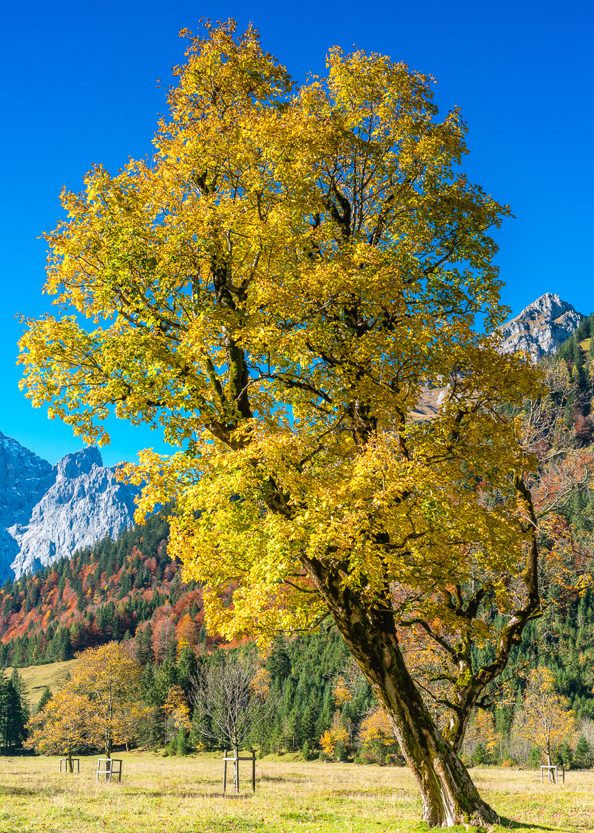 _DSC4673.jpg