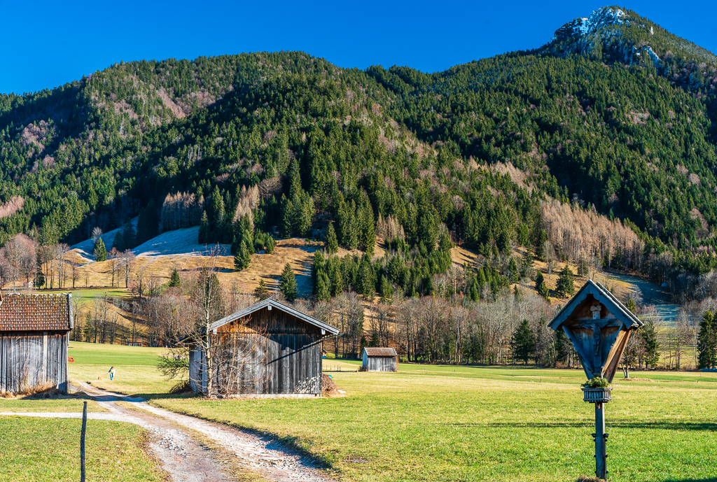 _DSC4953.jpg