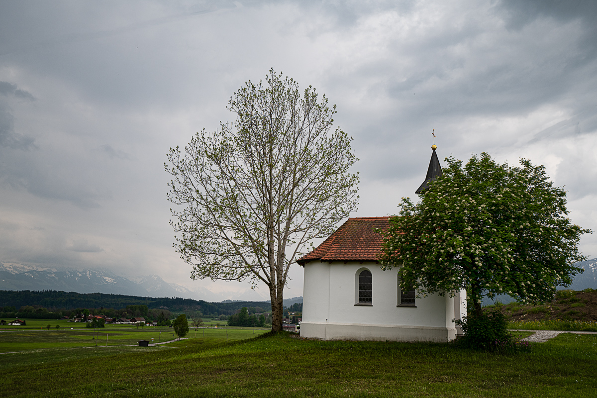 _DSC4969-Bearbeitet-Bearbeitet-1.jpg