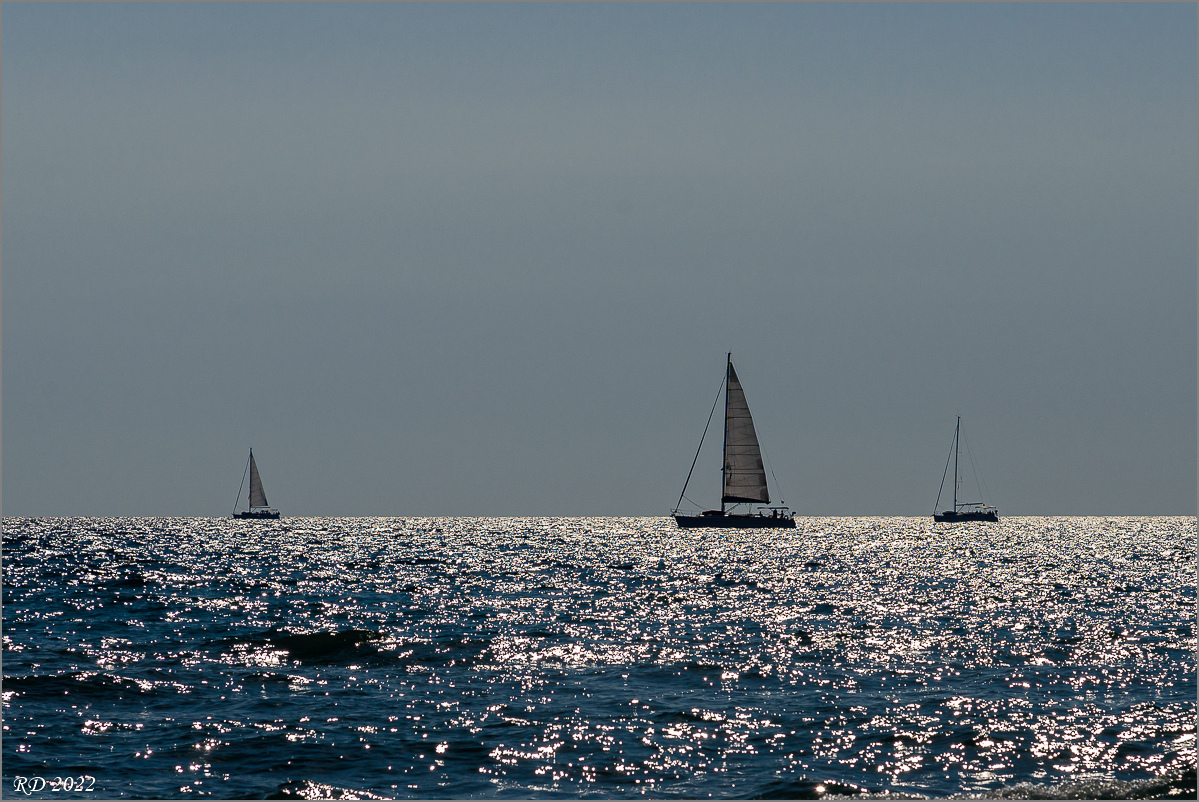 _DSC5118.jpg