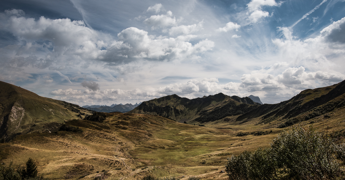 _DSC5228-Bearbeitet-1.jpg
