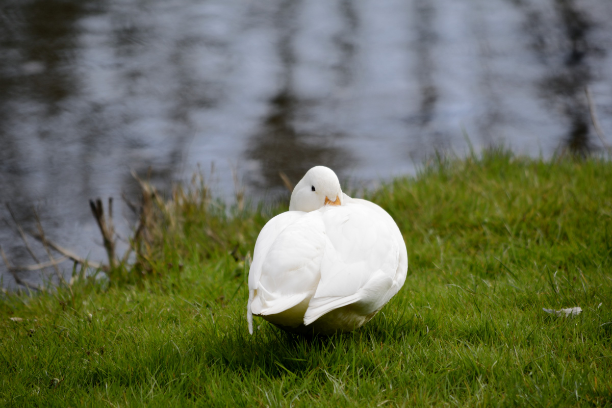 _DSC5555_01.JPG