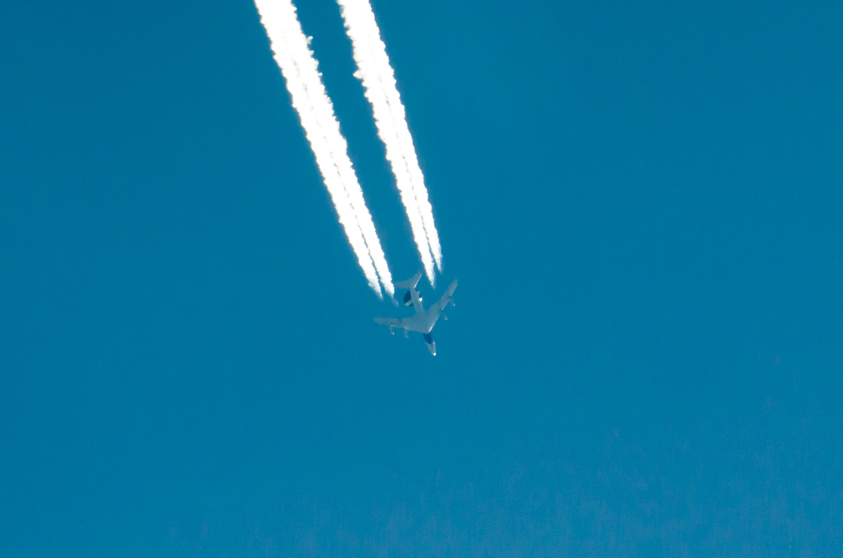 _DSC5601.jpg