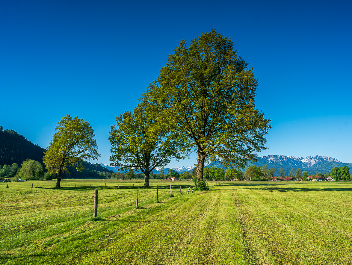 _DSC6016.jpg