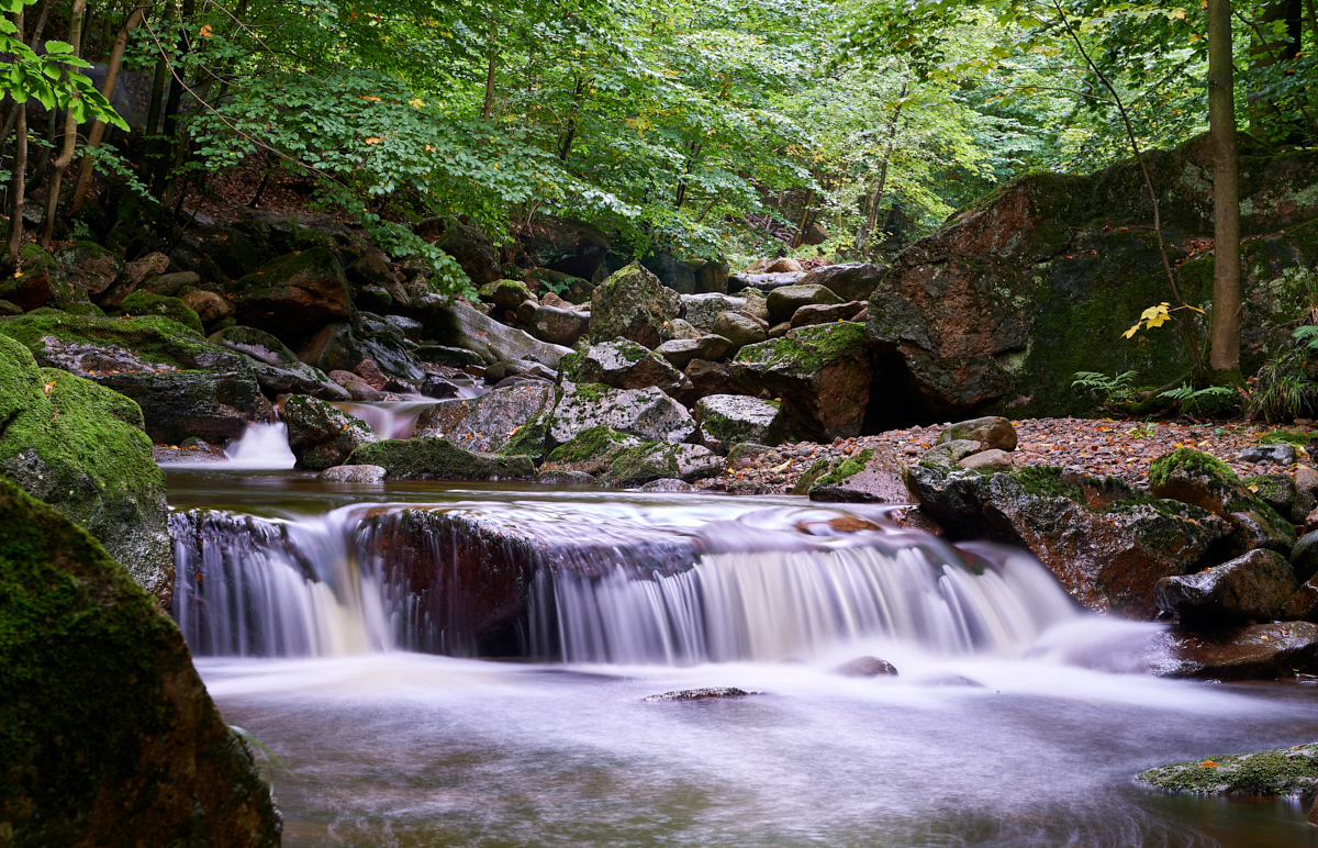 _DSC6381.jpg