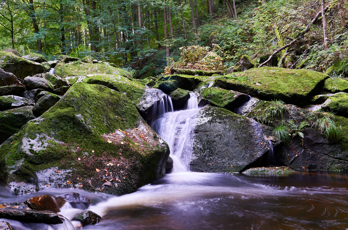 _DSC6393 1.jpg