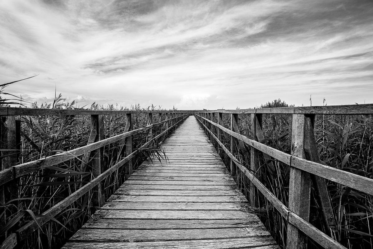 _DSC7181-Bearbeitet-1.jpg