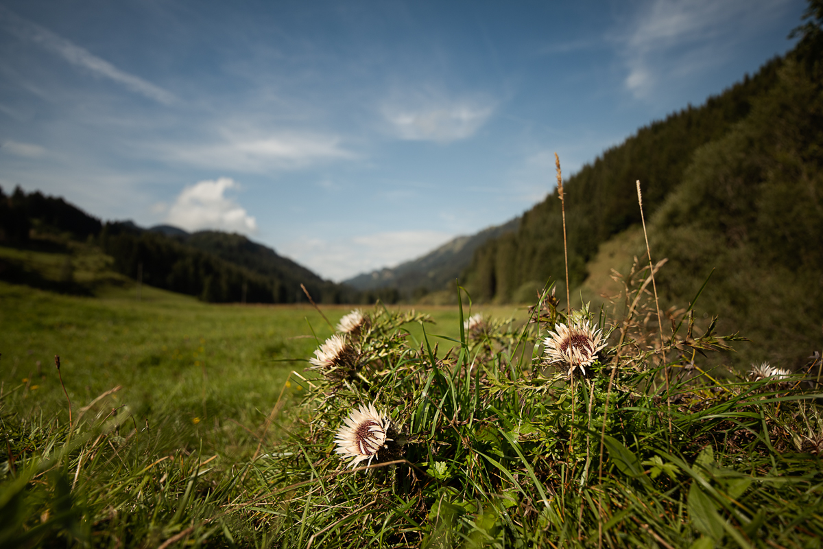 _DSC7278-Bearbeitet-1.jpg