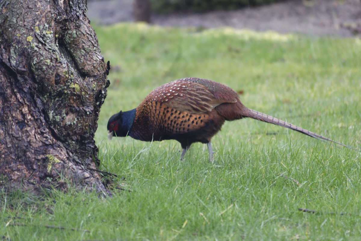 _DSC7371NF.jpg