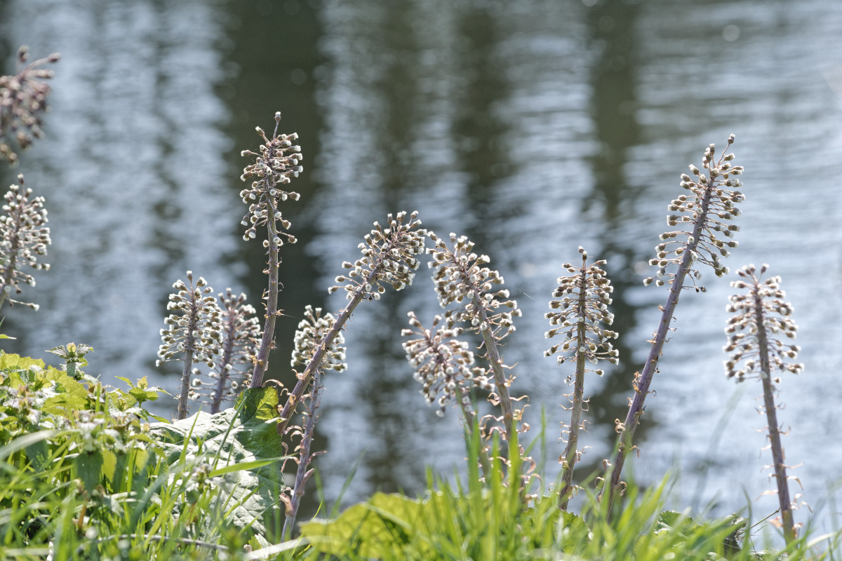 _DSC7402NF.jpg