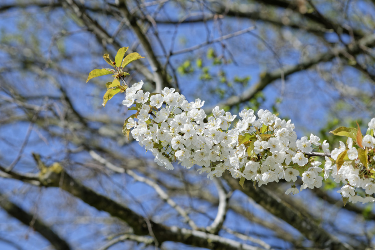 _DSC7470NF.jpg
