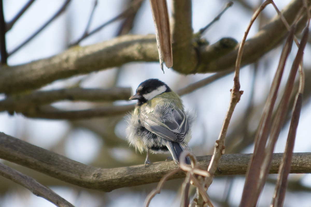 _DSC7480NF.jpg