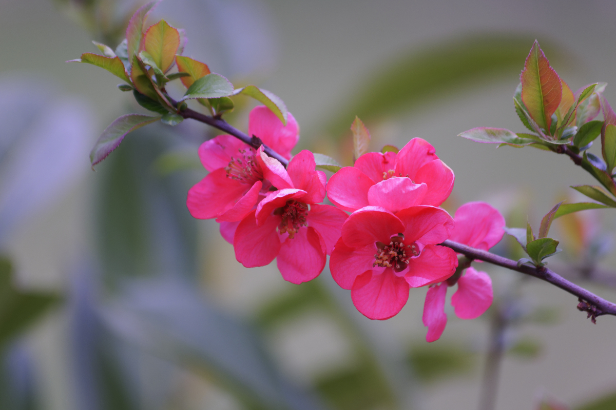 _DSC7488NF.jpg