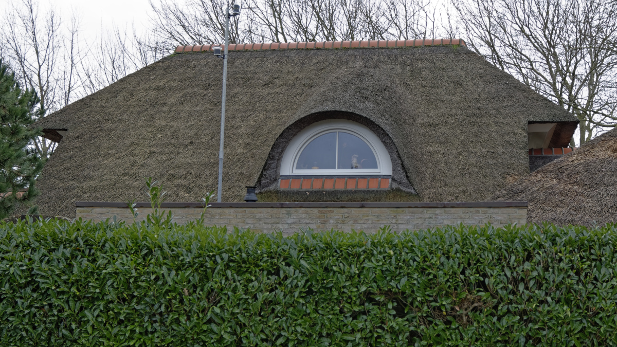 _DSC7576_DxOPAxl.jpg