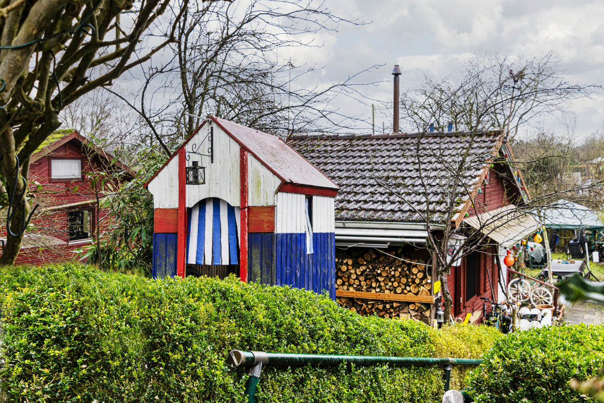 _DSC7596-_476#.JPG