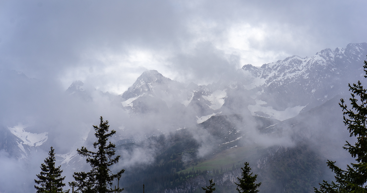 _DSC7711.jpg
