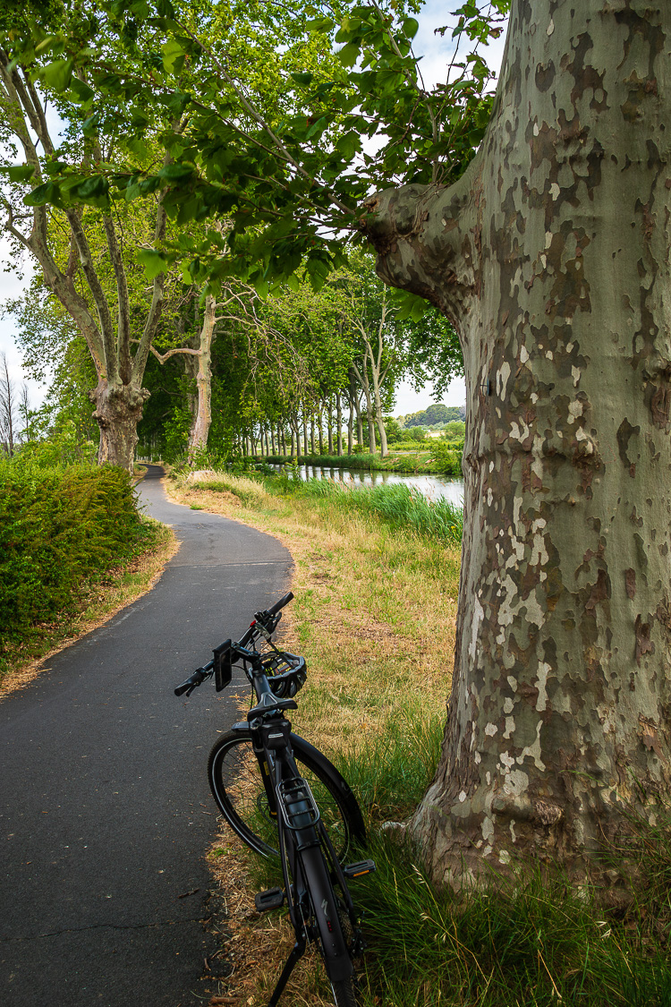 _DSC8188-Verbessert-RR.jpg