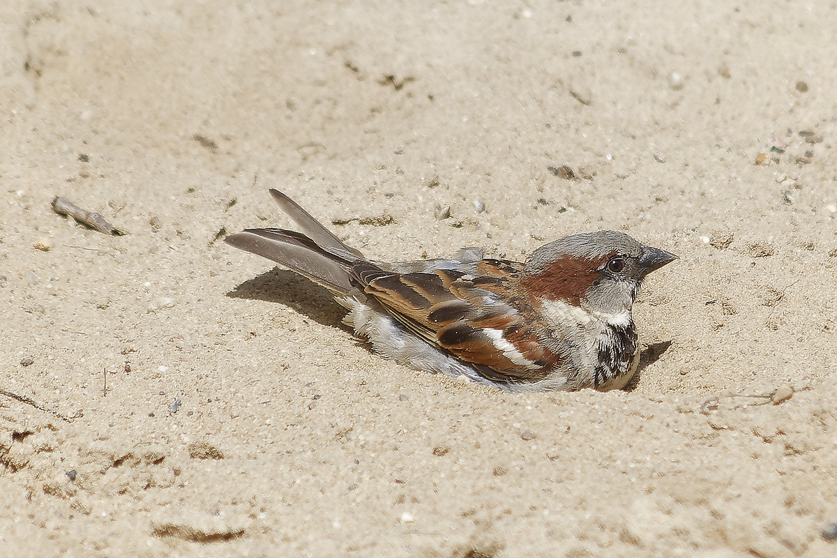 full