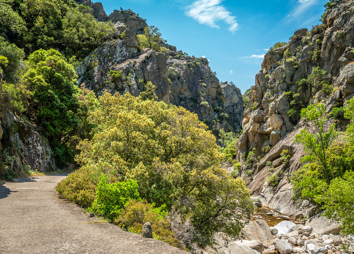 _DSC8212.jpg