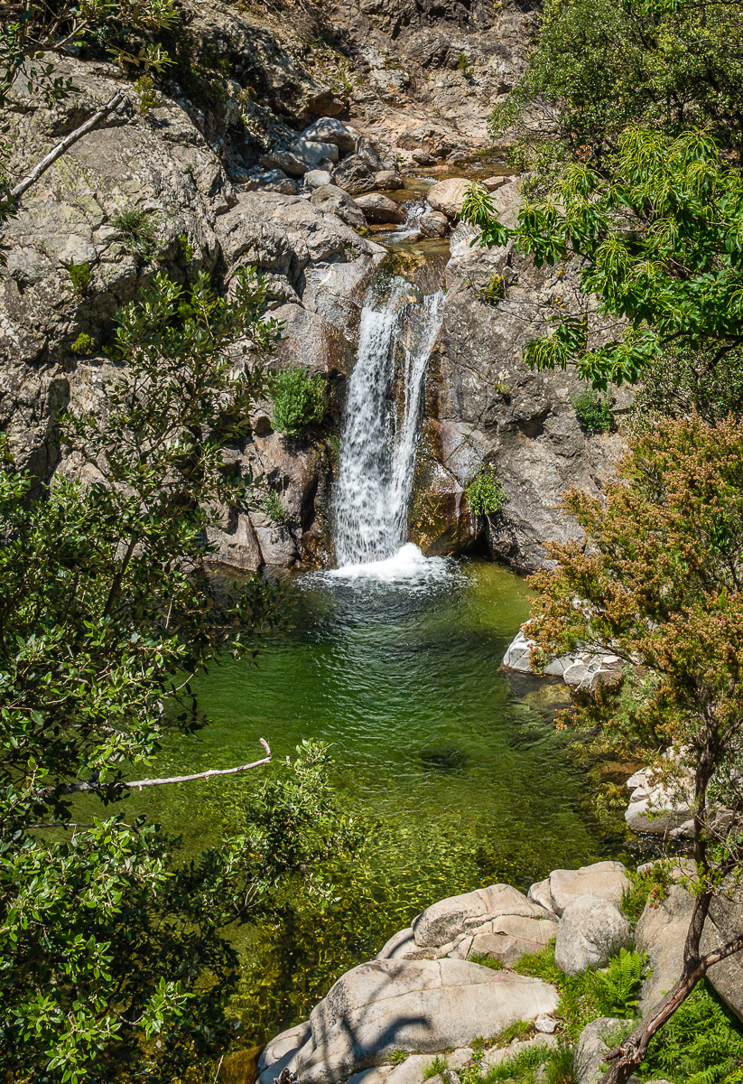 _DSC8218.jpg