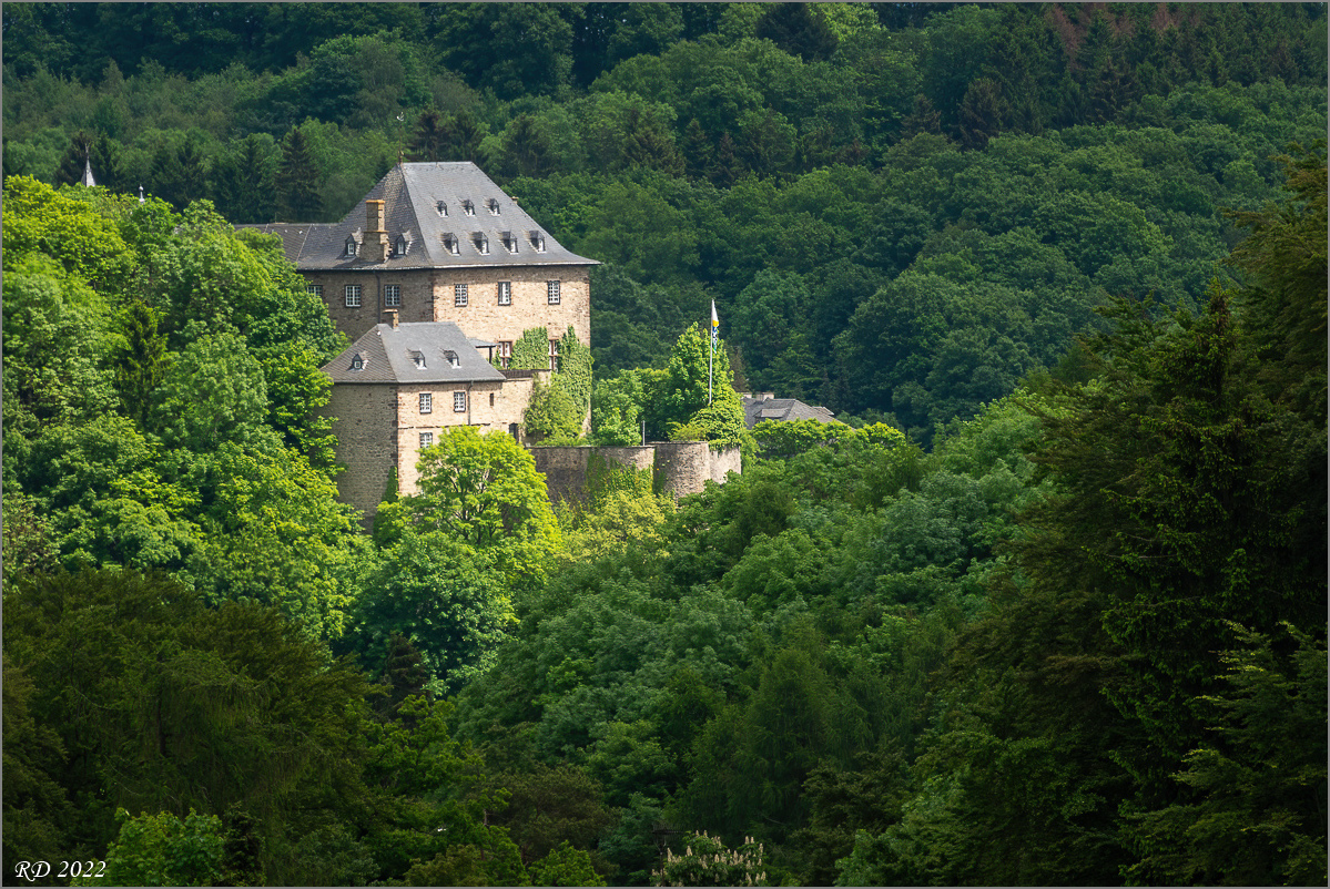 _DSC8594-Bearbeitet.jpg