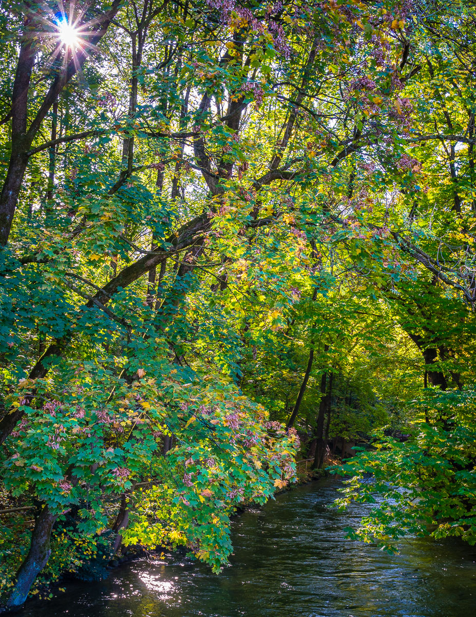 _DSC8623.jpg