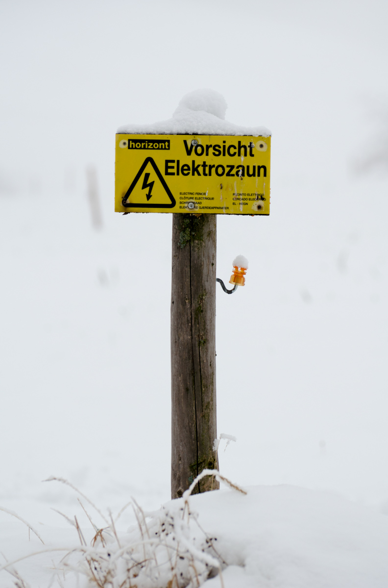 _DSC9068.jpg